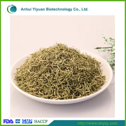Traditional Chinese Herb Medicine 100% Natural Lonicera japonica Honeysuckle Flos Lonicerae (Jin Yin Hua)