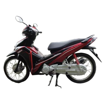Preu Bolivia 2023 New Design Factory Sales 125CC Dirt Bike with Customizable Options