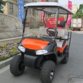 4 passenger off-road golf cart powered by gas