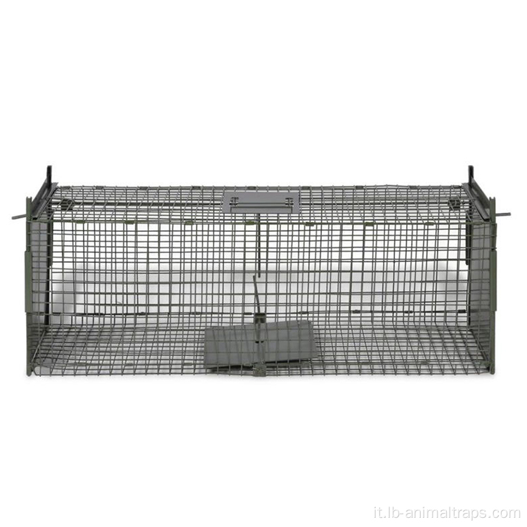 Cage di animali vivi per animali domestici di piccole dimensioni interni