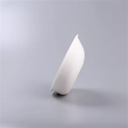 Eco-Friendly Disposable Bagasse Food Plate Pulp Meal Tray