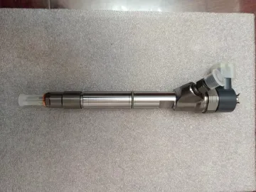 Weichai fuel injector