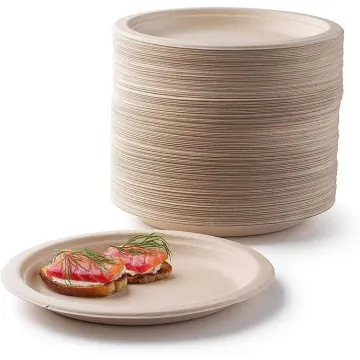 Bagasse Disposable Plates Paper Pulp Bio Party Dish