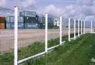 Peach Shape Fencing