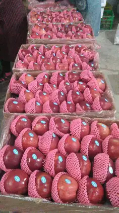 natural red star apple sweet red apple round apple with thin skin