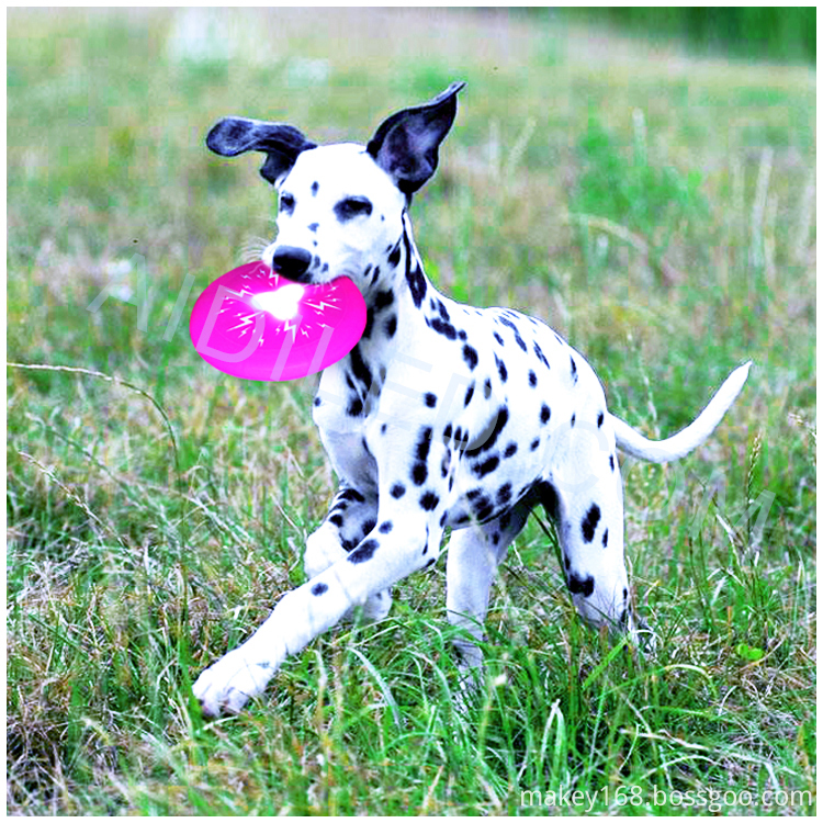 Soft Dog Frisbee