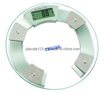 Fat Scale/Water Scale/Body Scale (BF-6609)