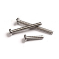 DIN85 Slotted Pan Head Screws