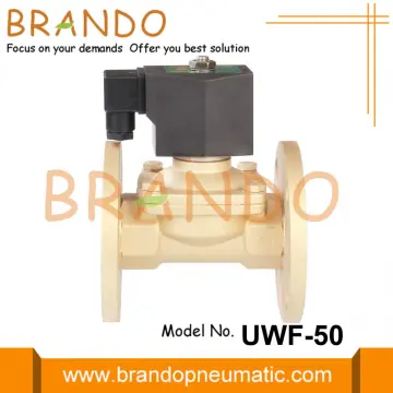 2'' Flange Brass Water Solenoid Valve 24VDC 220VAC