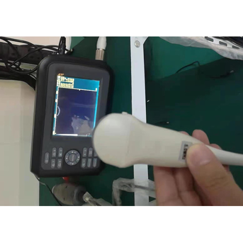 Scanner de ultra-som portátil veterinário