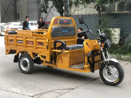 Electric Tuk Tuk Cargo Tricycle for Farming