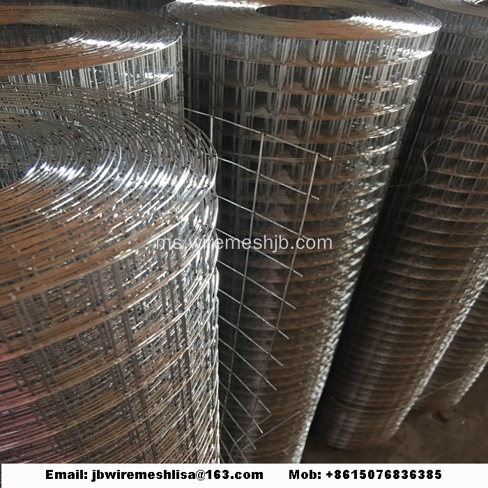 Welded Wire Mesh Galvanized Welded Wire Mesh Roll