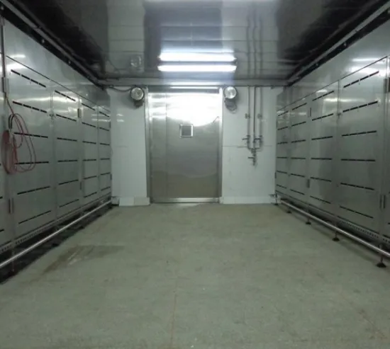 Industrial Meat Thawing and Defrosting Machines