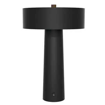 UL Listed Marriott Residence Inn Neuhaus Honed Guestroom Desk Lamp