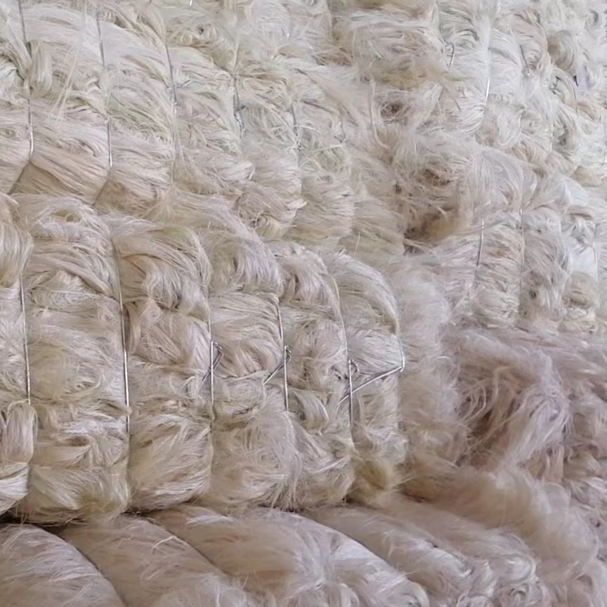 Fibres de sisal de haute qualité produites