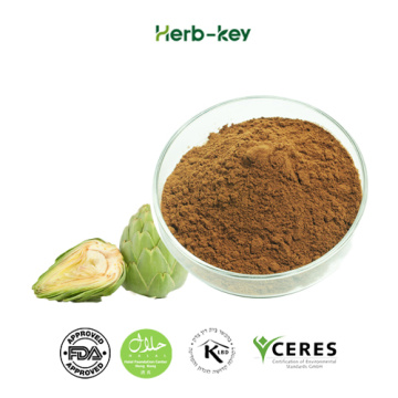 5% artichoke extract chlorogenic acid