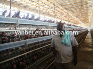9WCD-4160 Model 4 Tiers A Type Chicken Cage
