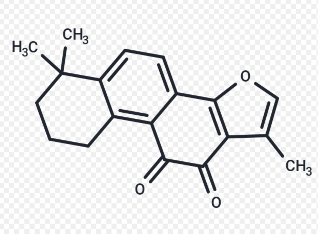 Salvia Miltiorrhiza Extract Powder