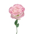 ইউনান পাইকারি তাজা কাটা ফুল গোলাপী Lisianthus