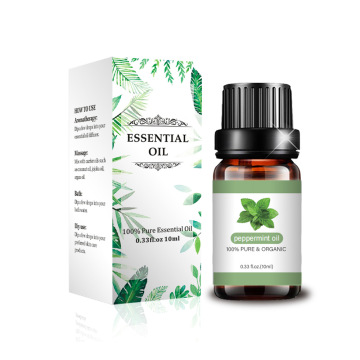 Steam Distilled Essential Oil Peppermint Oil Wholesale
