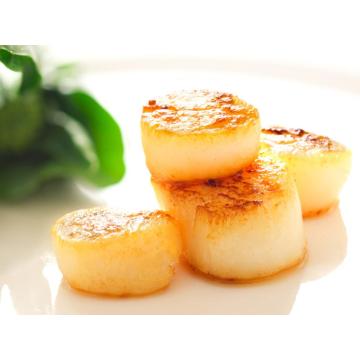 High Quality Nutrient-rich Seafood Scallop Columns