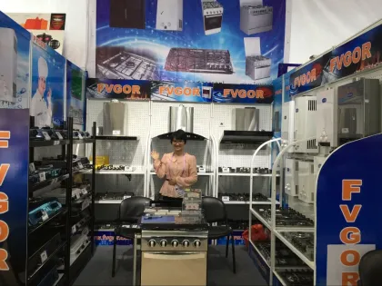 Fvgor GWD-14 Pakistan instant junkers tankless gas water heater