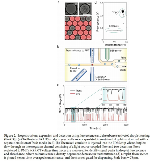 Synthetic Biology (2)