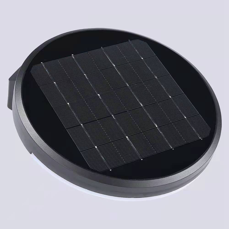 Ip65 Waterproof Solar Garden Light