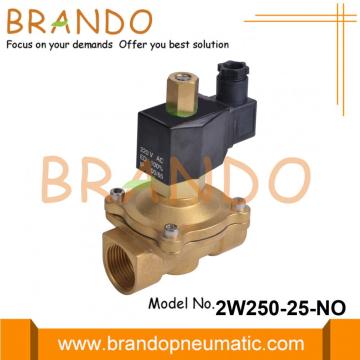 1 &#39;&#39; Normalde Açık Sulu Pirinç Solenoid Valf 220V