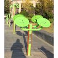 Tai Chi Wheels Park Fitness Equipment