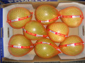 2019 Honey Pomelo