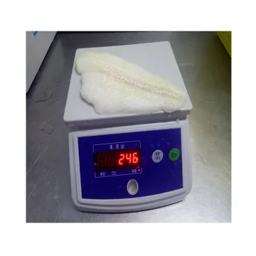 arrow tooth flounder fish fillet detail,arrow tooth flounder new halibut