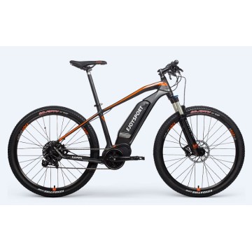 Customized Best Mountain Electric Bike