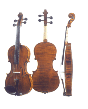 Professional Violin (222)