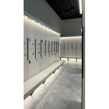 used school custom colour locker
