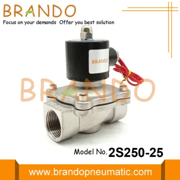 1 Inch 2S250-25 Stainless Steel Solenoid Valve 110VAC