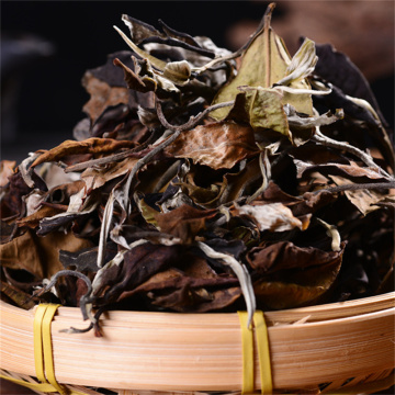 Low Caffeine Wild White Tea