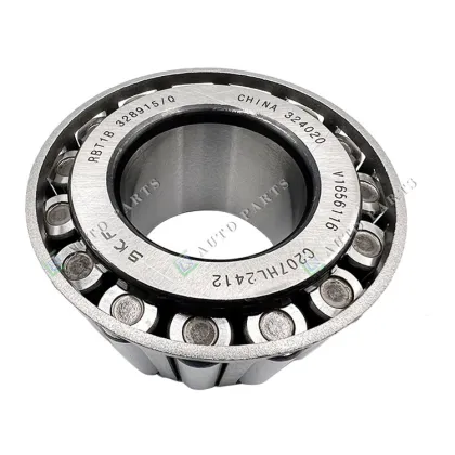 CG Auto Parts 7401656116 ROLLER BEARING for Volvo Truck