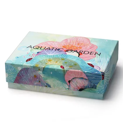 Color Top And Base Box Packaging