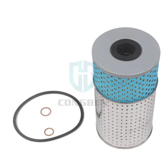 Diesel Engine Oil Filter 6011800009 for Ssangyong Rexton/Korando and Mercedes-Benz