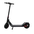 10 Inch Offroad Electric Scooter