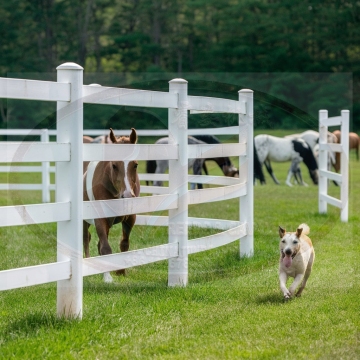 Durable UV Resistant High Quality PVC Horse Arena Fence
