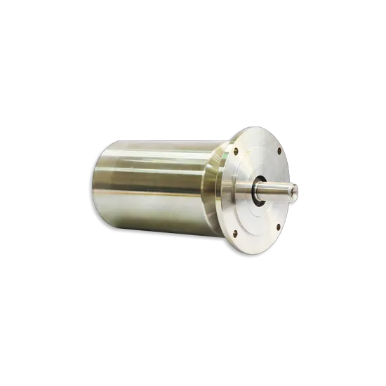 Stainless Steel Servo Motor With Brake