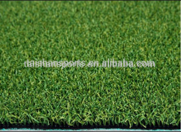 Putting Green Golf Turf