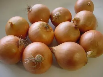 Fresh Red Onion Good Price Free Sample