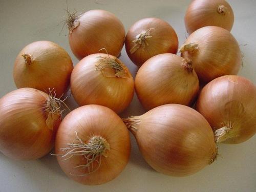 Wholesale Price Fresh Red Yellow Purple Onion