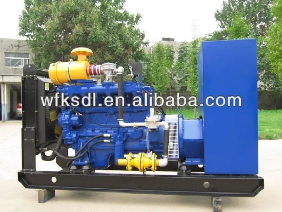 CE Approved 10-200KW biogas generator