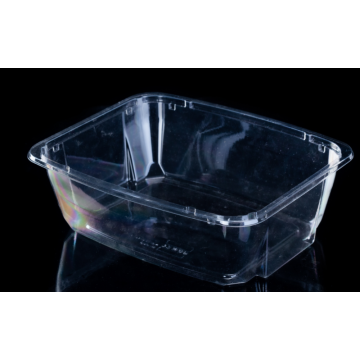 Factory New Design Plastic Salad Tray