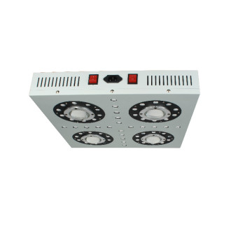 Neue Ankunft LED GROW LIGHT mit Doppelobjektiv