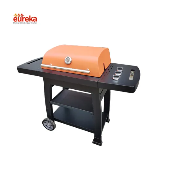 Outdoor Kitchen Modular Grill Kitchen BBQ Gas Grill